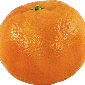 CLEMENTINE al kg